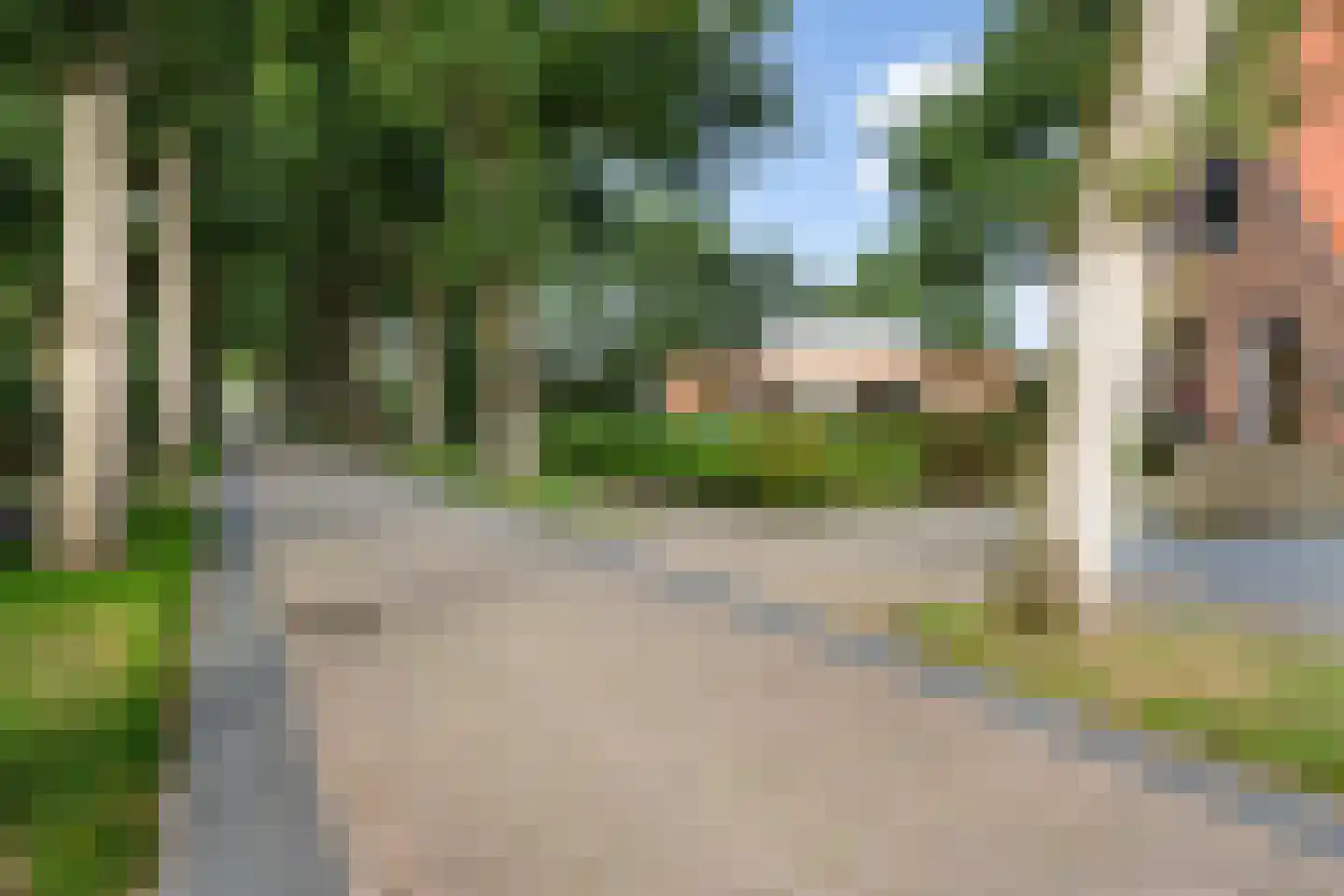Oosterse Es 45 Appelscha thumbnail 49