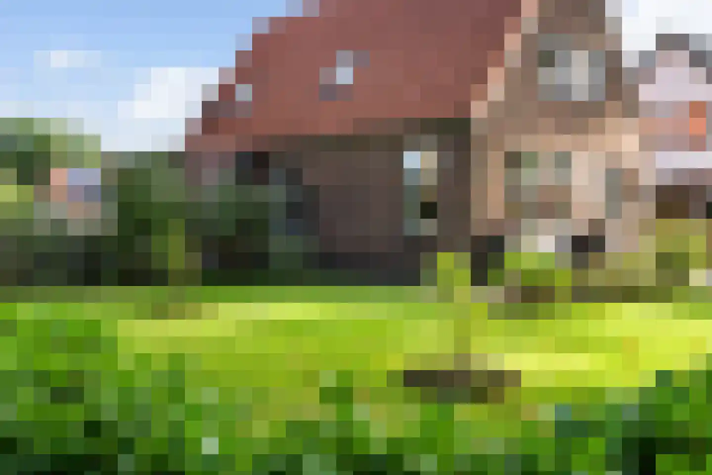 Oosterse Es 45 Appelscha thumbnail 7