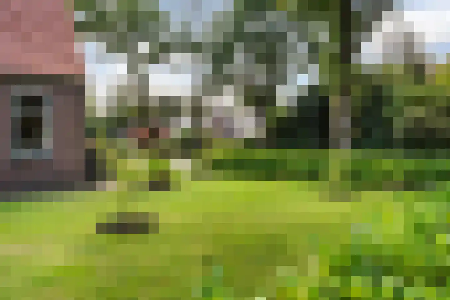 Oosterse Es 45 Appelscha thumbnail 8