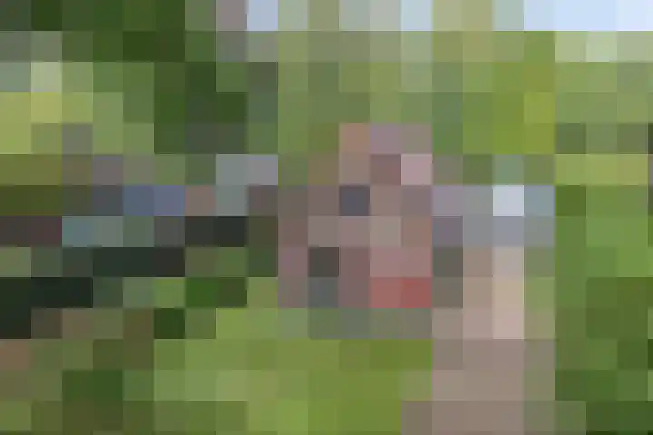 Oosterse Es 67 Appelscha