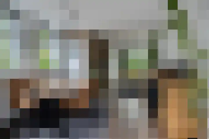 Oosterse Es 67 Appelscha thumbnail 12