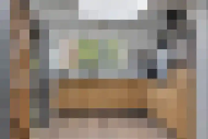 Oosterse Es 67 Appelscha thumbnail 13