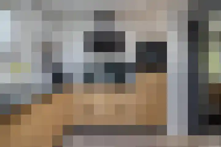 Oosterse Es 67 Appelscha thumbnail 14