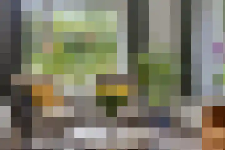 Oosterse Es 67 Appelscha thumbnail 16