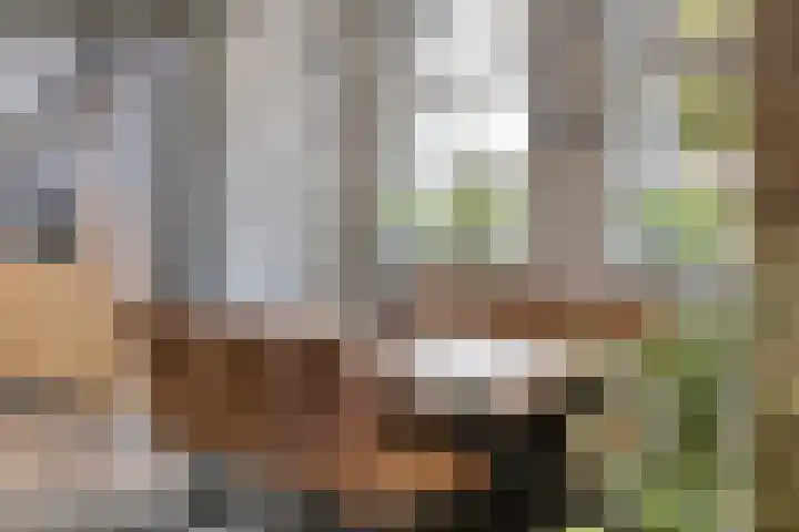 Oosterse Es 67 Appelscha thumbnail 17