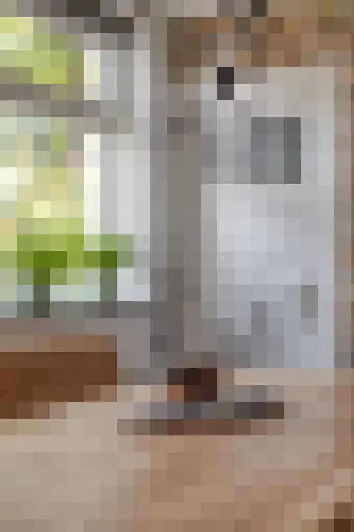 Oosterse Es 67 Appelscha thumbnail 18