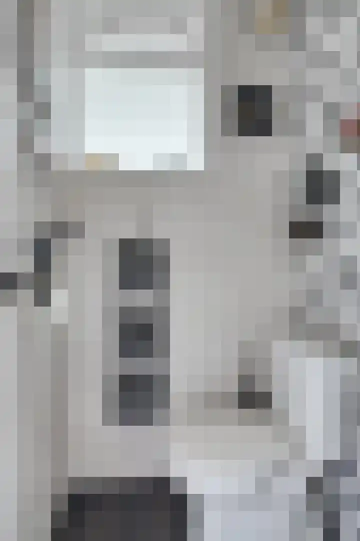 Oosterse Es 67 Appelscha thumbnail 19