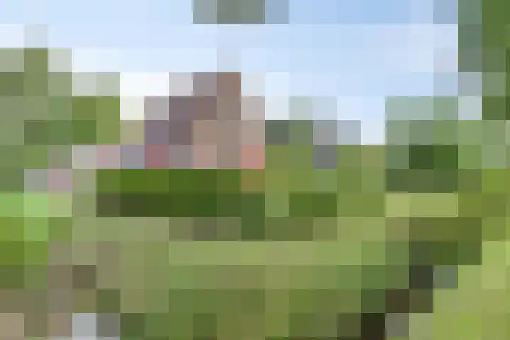 Oosterse Es 67 Appelscha foto 2