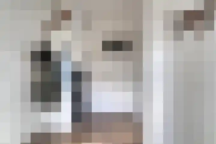 Oosterse Es 67 Appelscha thumbnail 24