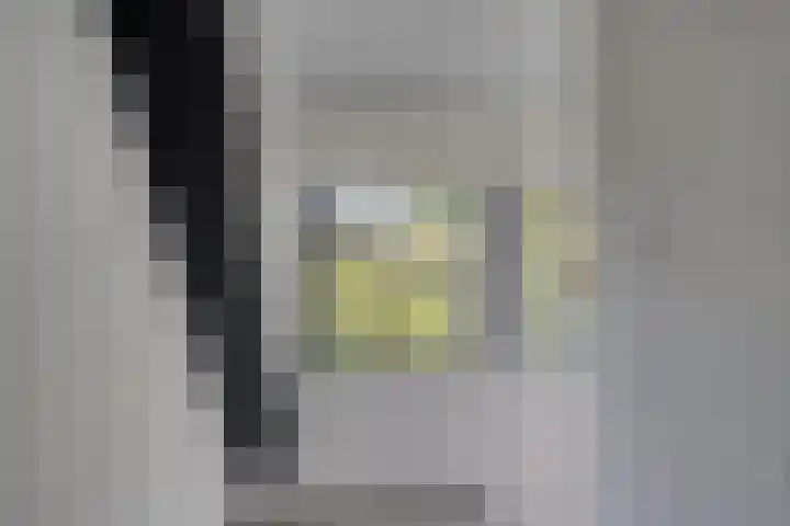 Oosterse Es 67 Appelscha thumbnail 27