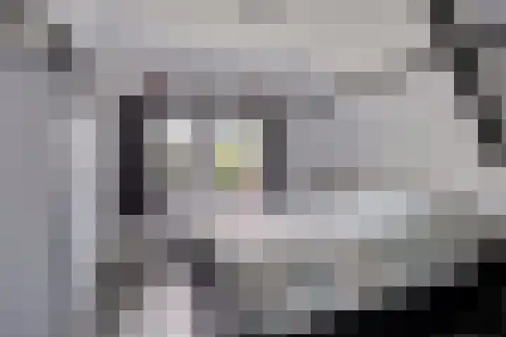 Oosterse Es 67 Appelscha thumbnail 28