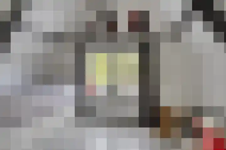 Oosterse Es 67 Appelscha thumbnail 29