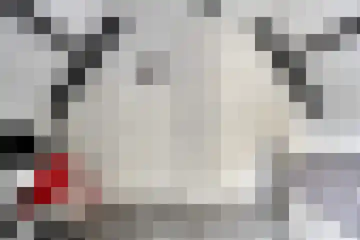 Oosterse Es 67 Appelscha thumbnail 30