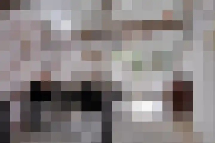 Oosterse Es 67 Appelscha thumbnail 32