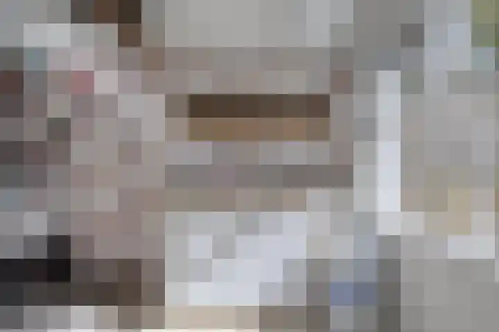 Oosterse Es 67 Appelscha thumbnail 33