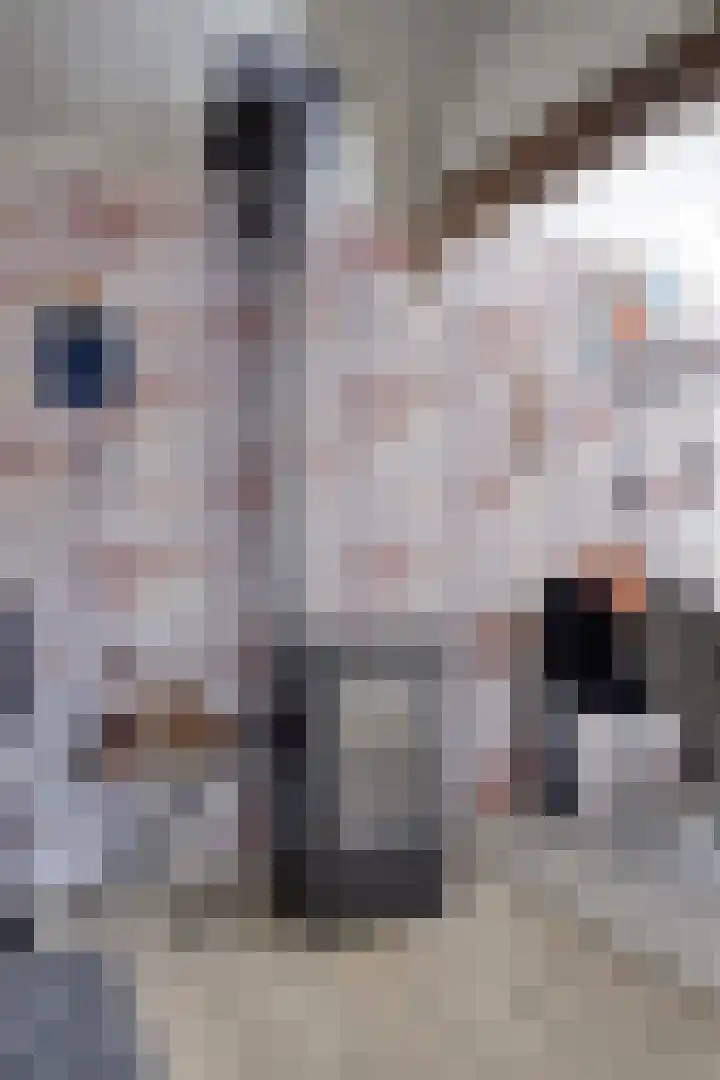 Oosterse Es 67 Appelscha thumbnail 37