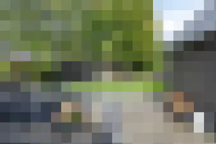 Oosterse Es 67 Appelscha thumbnail 39