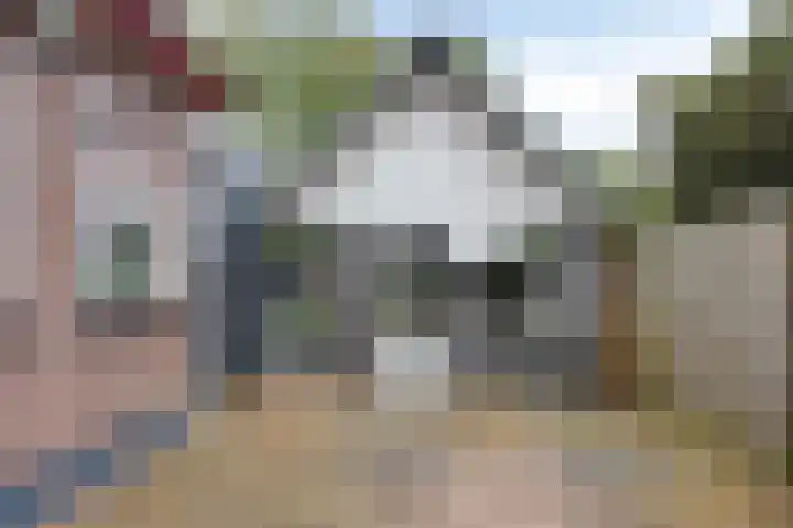 Oosterse Es 67 Appelscha thumbnail 40