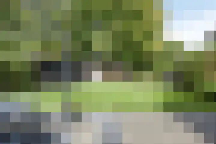Oosterse Es 67 Appelscha thumbnail 41