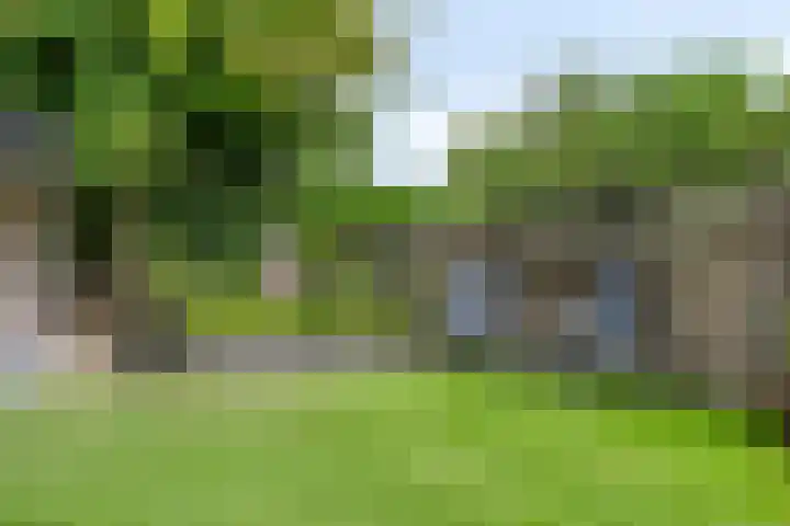 Oosterse Es 67 Appelscha thumbnail 42
