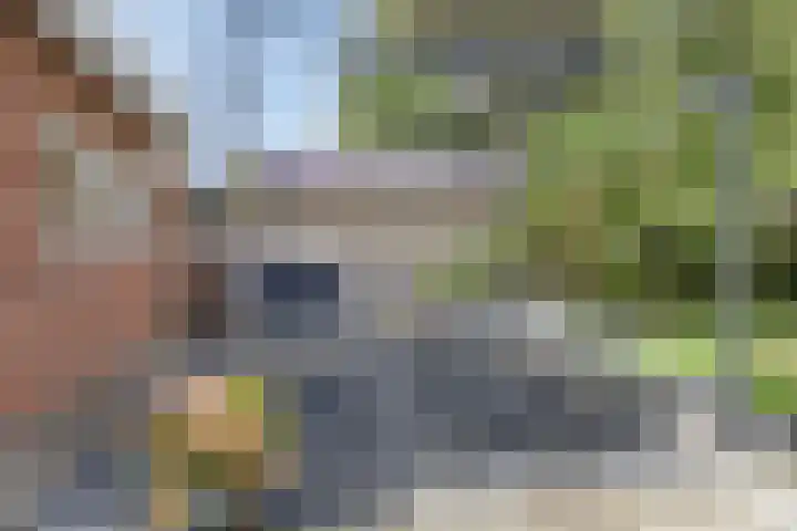 Oosterse Es 67 Appelscha thumbnail 44