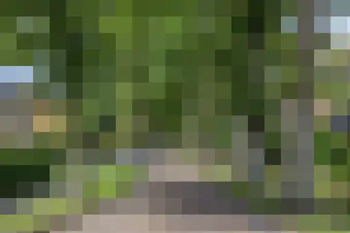 Oosterse Es 67 Appelscha thumbnail 45