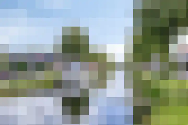 Oosterse Es 67 Appelscha thumbnail 46