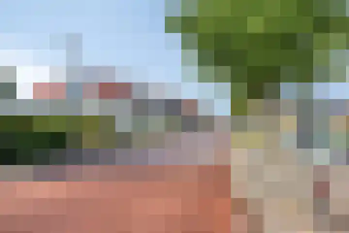 Oosterse Es 67 Appelscha thumbnail 47
