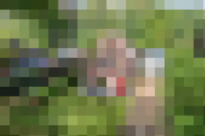 Oosterse Es 67 Appelscha thumbnail 8