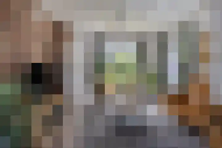 Oosterse Es 67 Appelscha thumbnail 9