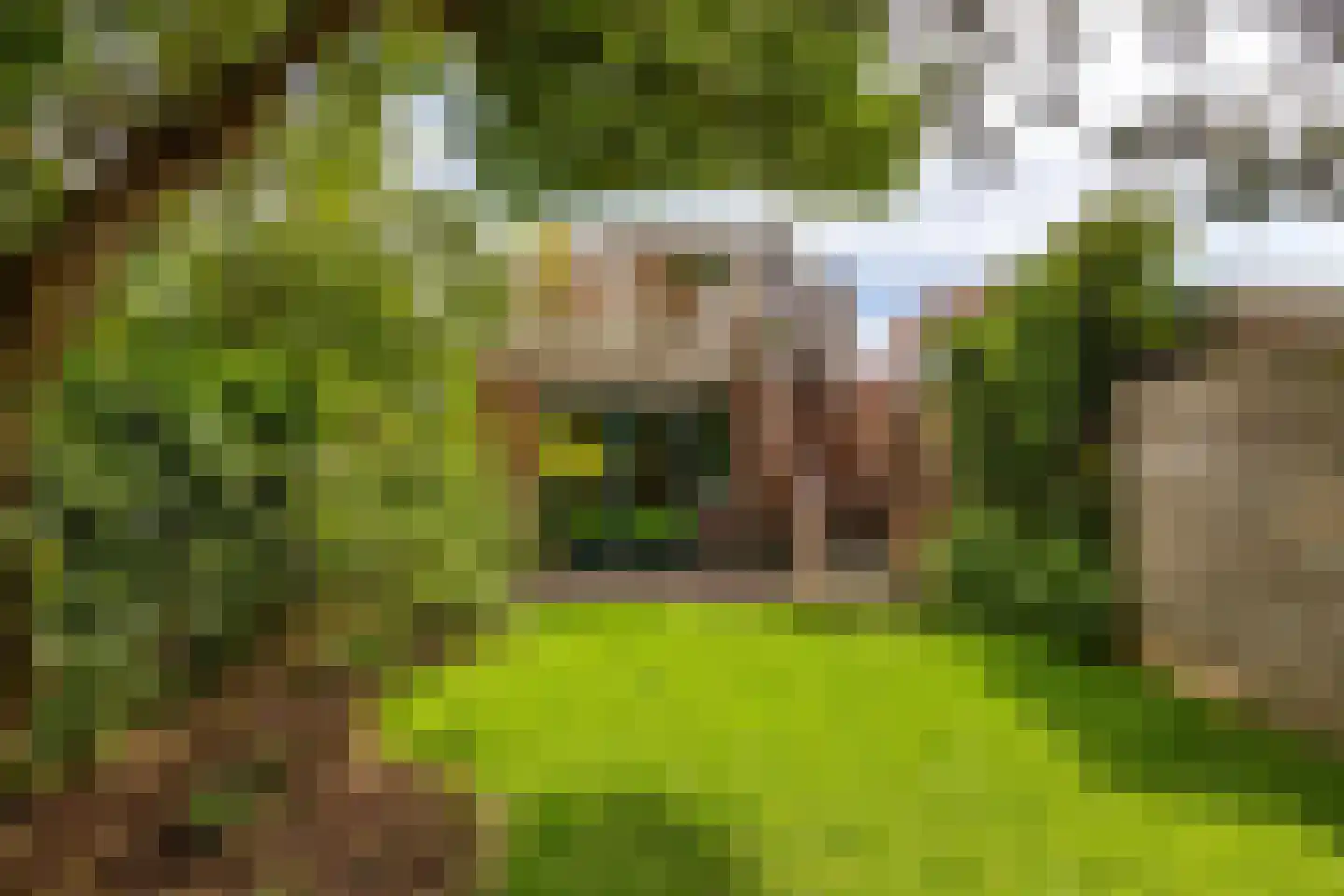 Oosterseweg 34 A Zuidwolde thumbnail 51