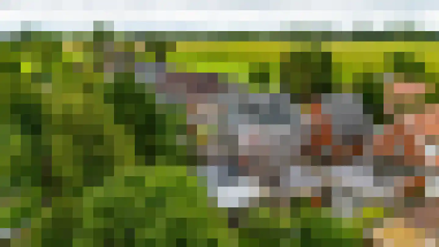 Oosterseweg 34 A Zuidwolde thumbnail 57