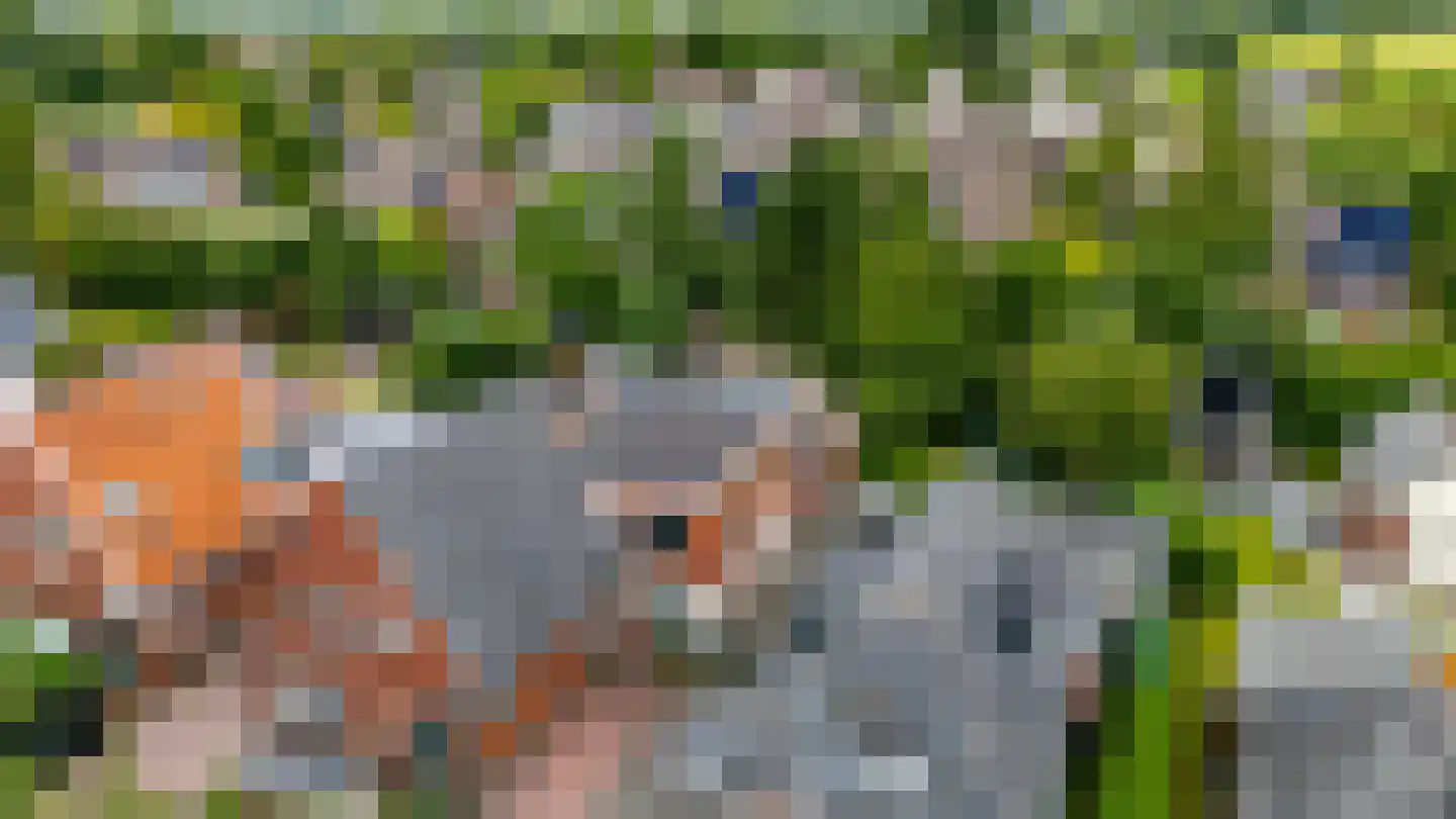 Oosterseweg 34 A Zuidwolde thumbnail 7