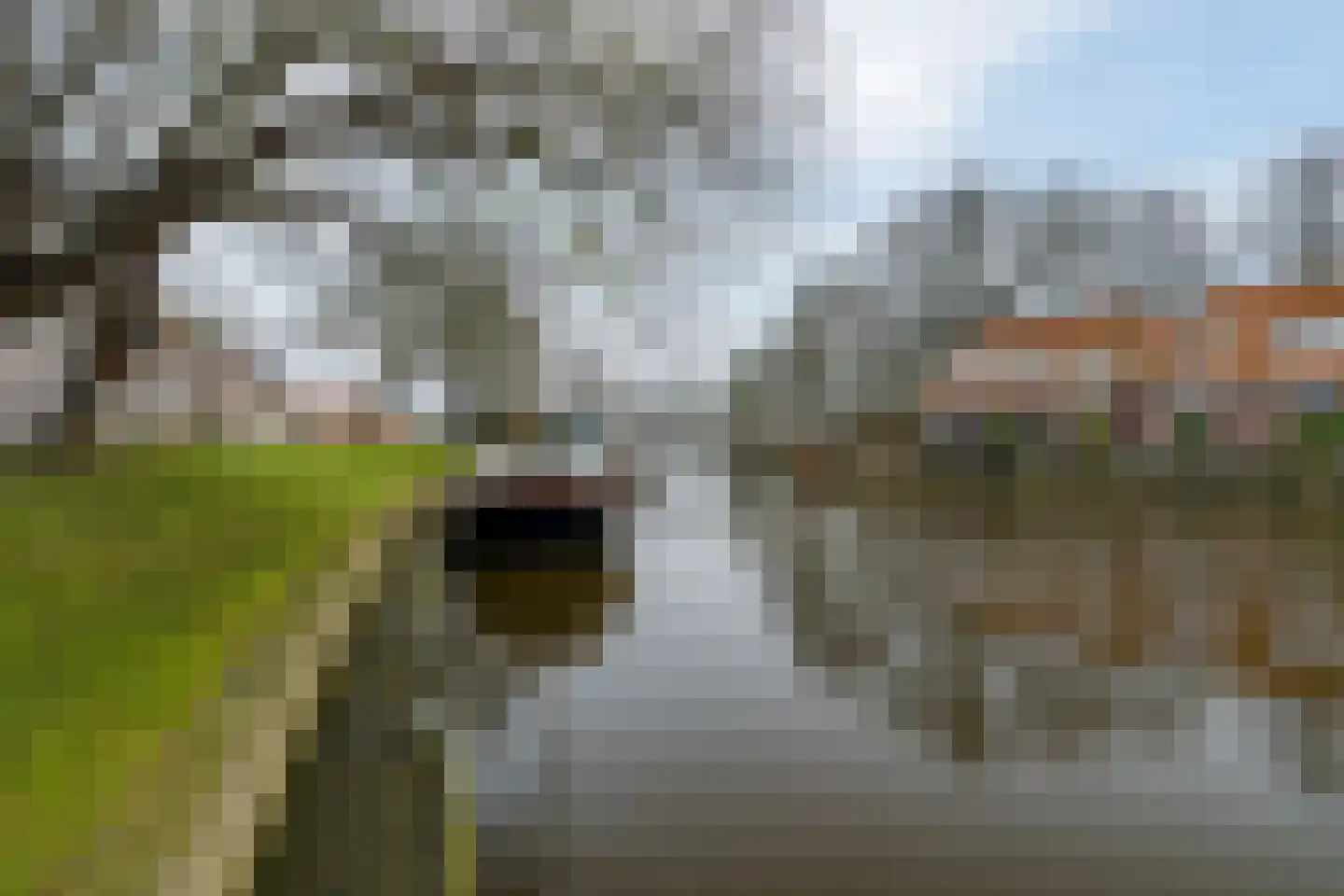 Oostersingel 1 Dokkum thumbnail 31