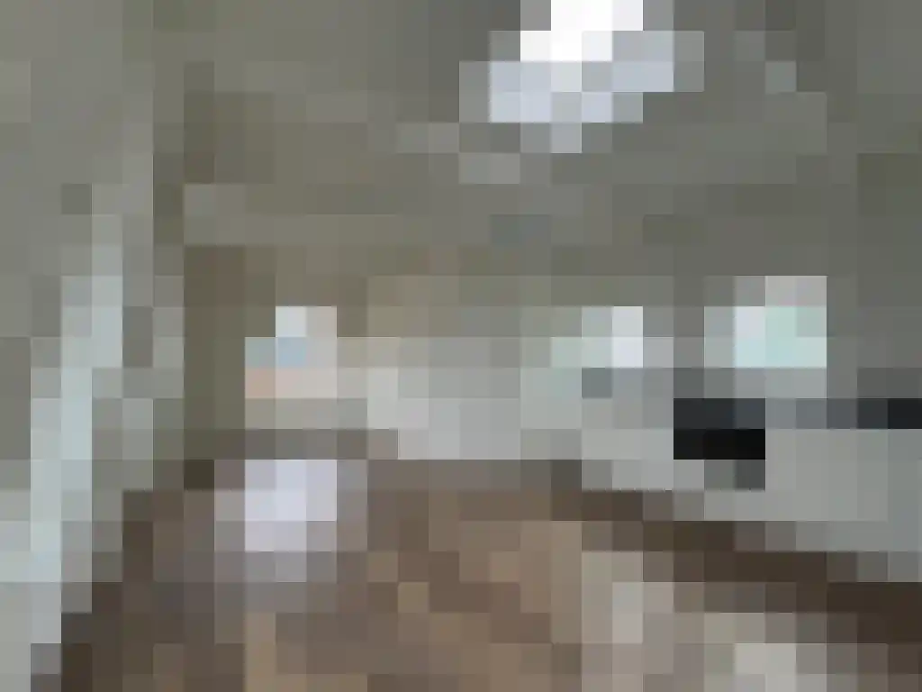 Oostersingel 102 Groningen thumbnail 4