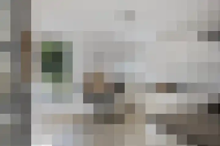 Oostersingel 11 Berkel en Rodenrijs thumbnail 11