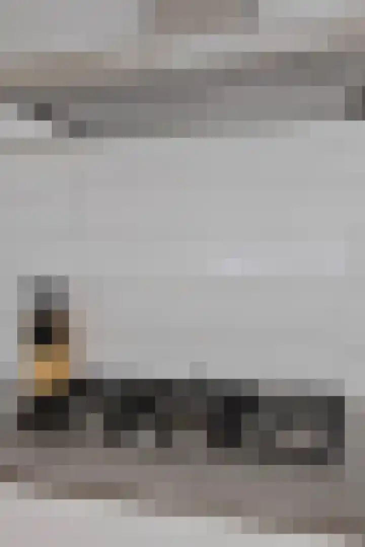 Oostersingel 11 Berkel en Rodenrijs thumbnail 13