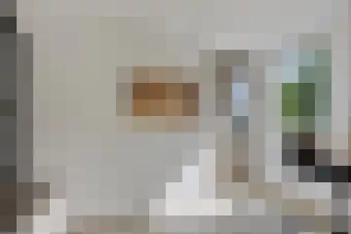 Oostersingel 11 Berkel en Rodenrijs thumbnail 14