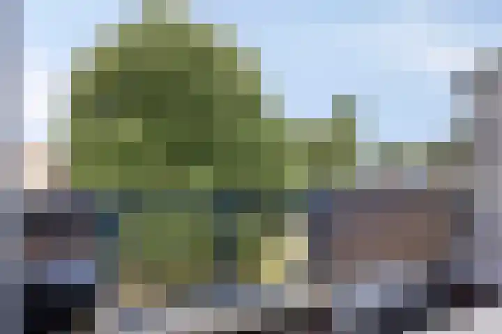 Oostersingel 11 Berkel en Rodenrijs thumbnail 24