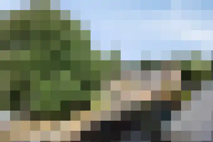 Oostersingel 11 Berkel en Rodenrijs thumbnail 25