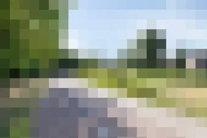 Oostersingel 11 Berkel en Rodenrijs thumbnail 28