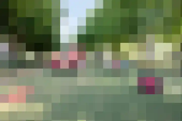 Oostersingel 11 Berkel en Rodenrijs thumbnail 29