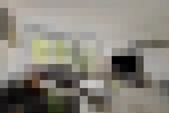 Oostersingel 11 Berkel en Rodenrijs thumbnail 8