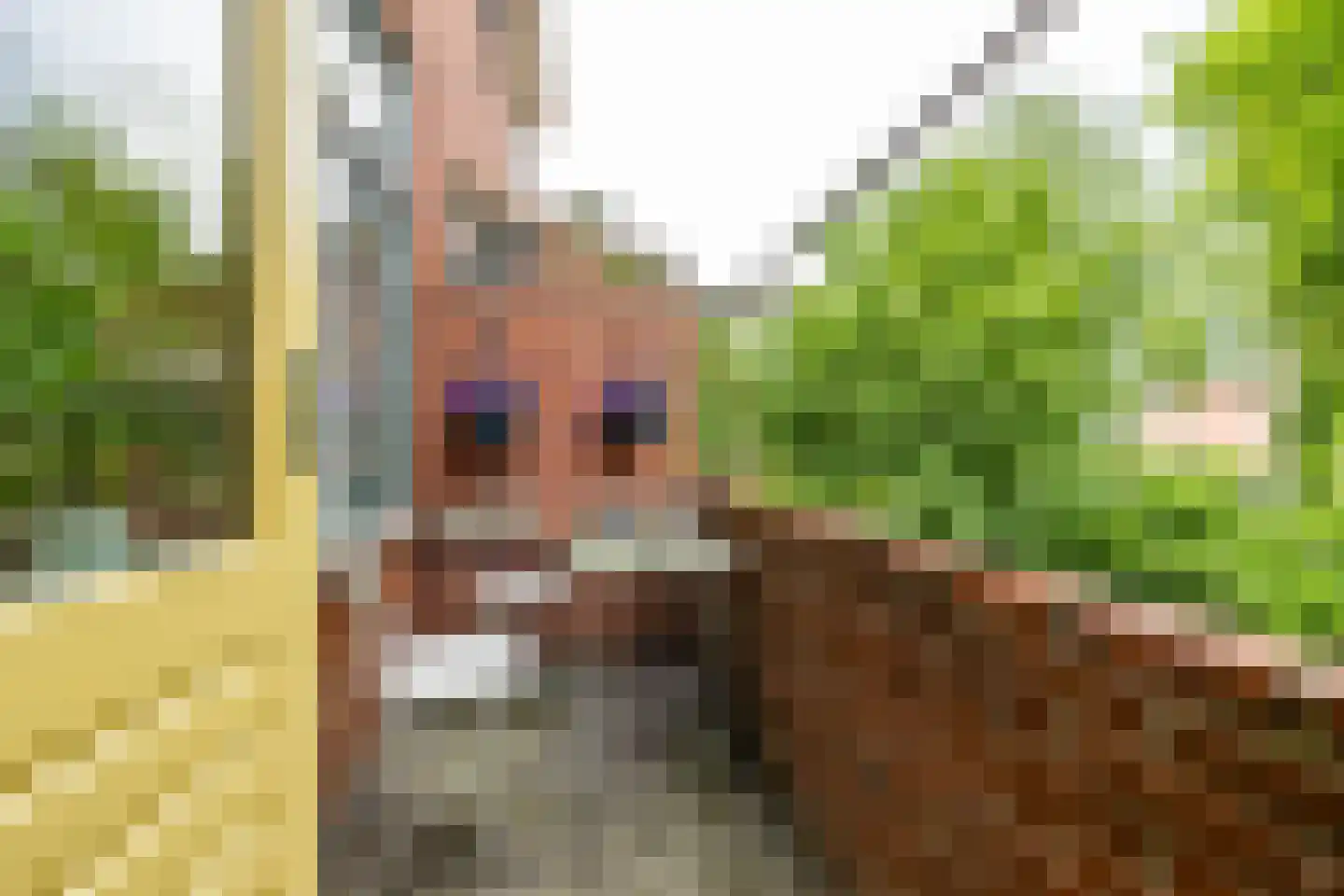 Oostersingel 128 b Groningen thumbnail 23
