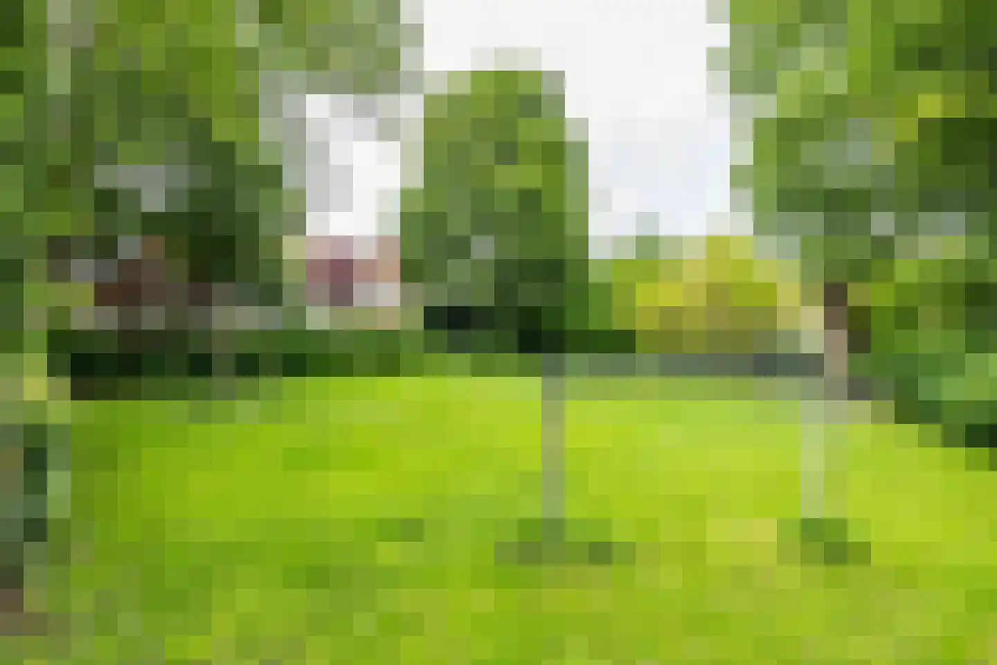 Oostersingel 128 b Groningen thumbnail 42
