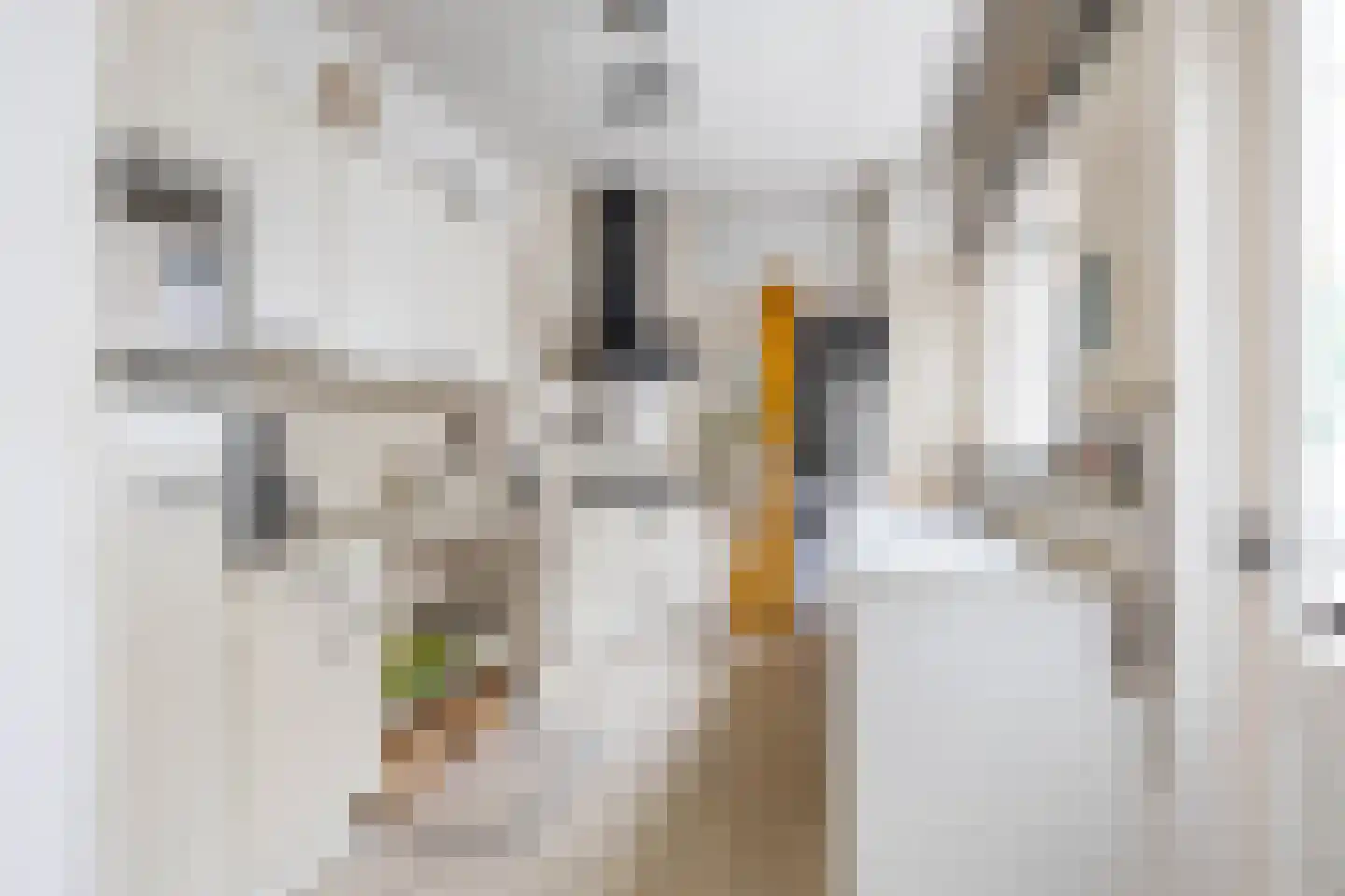 Oostersingel 13 Groningen thumbnail 29