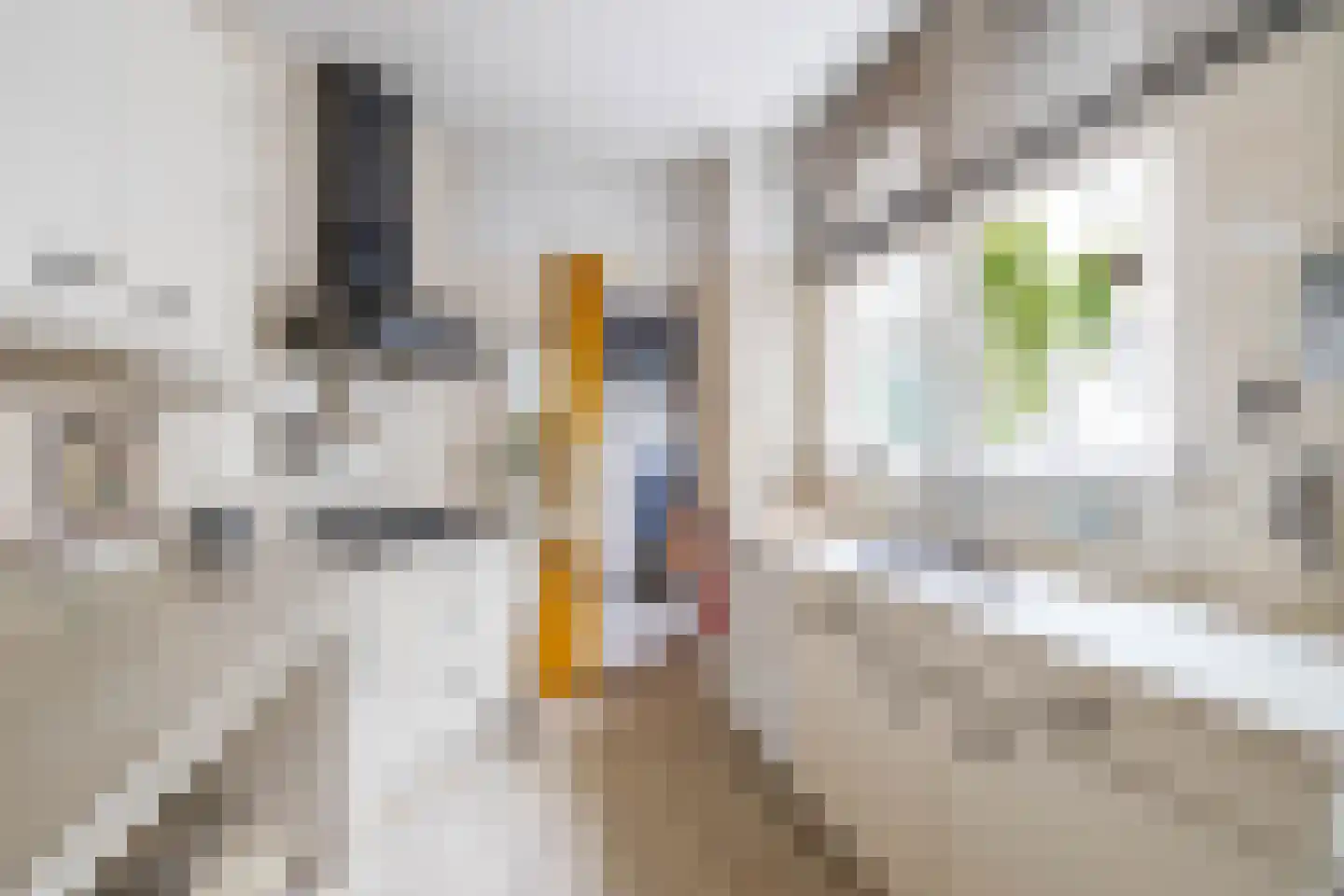 Oostersingel 13 Groningen thumbnail 30
