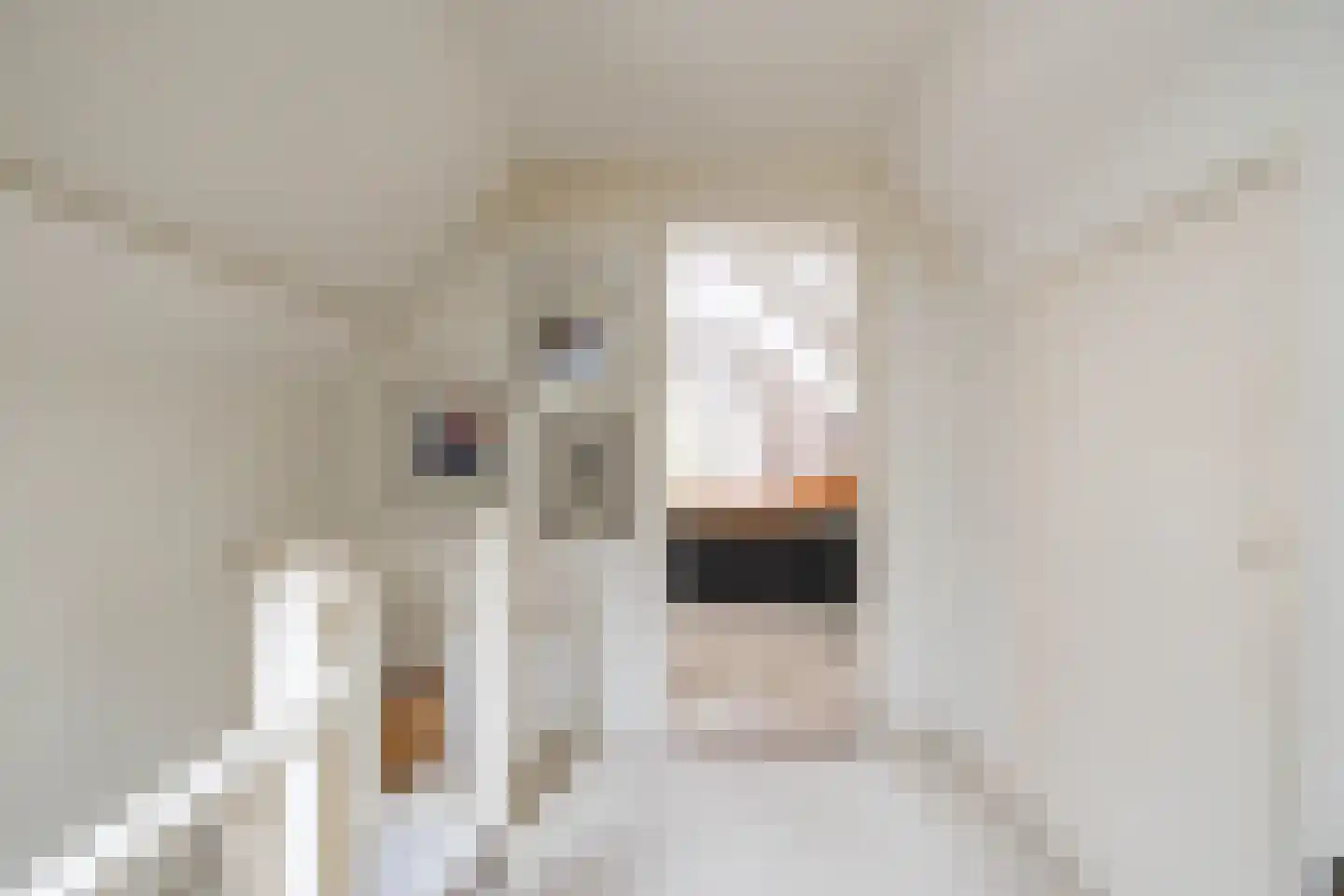 Oostersingel 13 Groningen thumbnail 36