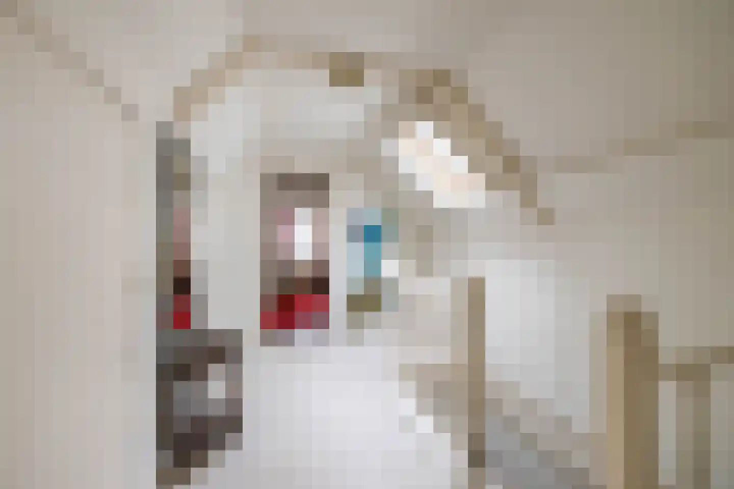 Oostersingel 13 Groningen thumbnail 41