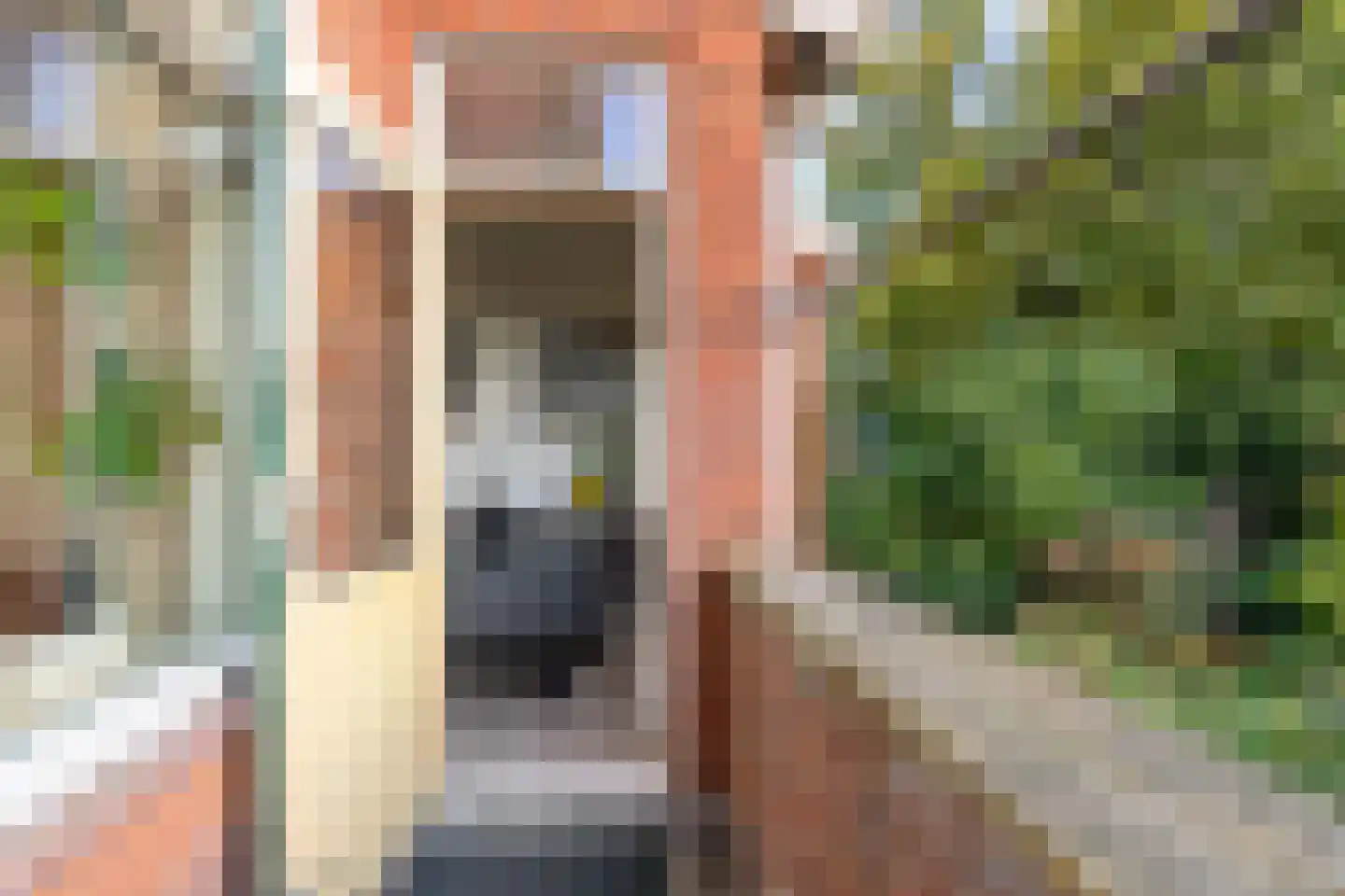 Oostersingel 132 a Groningen thumbnail 23